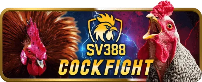 Hoàn Trả Hàng Ngày Không Giới Hạn 89bet67