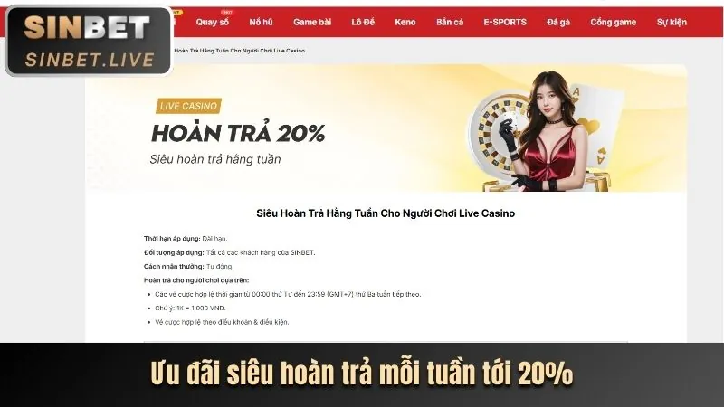 Ưu Đãi Đặc Biệt Dành Cho VIP 89bet67